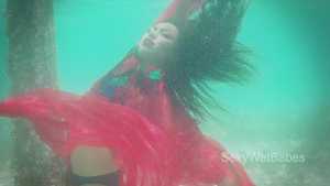 cancun-underwater_14.jpg